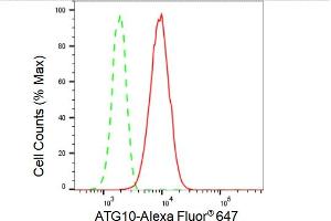 Flow cytometric analysis of ATG10 expression in HepG2 cells using ATG10 antibody (ABIN7797705), 1:2,000). (Recombinant ATG10 antibody)