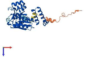 ECHDC1 Protein (AA 1-322) (His tag)