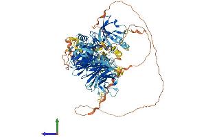 AlphaFold protein structure predicition of Mouse Recombinant Map4k5 Protein, UniprotID Q8BPM2