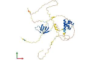 Protein Structure (PS) image for SAM and SH3 Domain Containing 3 (SASH3) (AA 1-380) protein (His tag) (ABIN7559534)