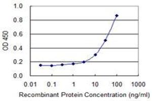 Detection limit for recombinant GST tagged TK1 is 1 ng/ml as a capture antibody. (TK1 antibody  (AA 1-234))