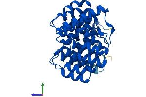 AlphaFold protein structure predicition of Human Recombinant DOHH Protein, UniprotID Q9BU89