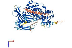 AlphaFold protein structure predicition of Human Recombinant DENND2D Protein, UniprotID Q9H6A0 (DENND2D Protein (AA 1-471) (His tag))