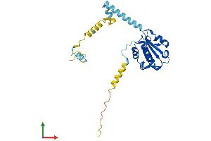 AlphaFold protein structure predicition of Human Recombinant PDCL2 Protein, UniprotID Q8N4E4 (PDCL2 Protein (AA 1-241) (His tag))