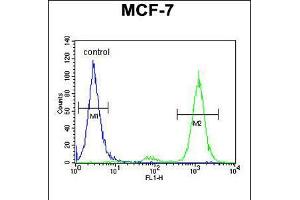 Flow cytometric analysis of MCF-7 cells (right histogram) compared to a negative control cell (left histogram). (CNPY2/MSAP antibody  (C-Term))