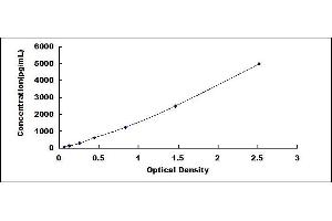 Typical standard curve (Kallikrein 7 ELISA Kit)