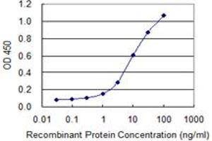 Detection limit for recombinant GST tagged UVRAG is 0. (UVRAG antibody  (AA 601-699))