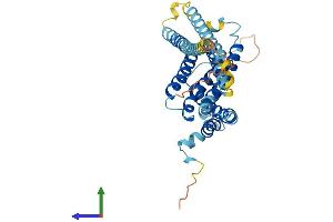 Protein Structure (PS) image for Translocation Associated Membrane Protein 1-Like 1 (TRAM1L1) (AA 1-369) protein (His tag) (ABIN7544711)