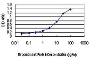 ELISA image for anti-PIH1 Domain Containing 1 (PIH1D1) (AA 1-291) antibody (ABIN599262) (PIH1D1 antibody  (AA 1-291))