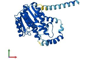 Protein Structure (PS) image for Hydroxysteroid (17-Beta) Dehydrogenase 3 (HSD17B3) (AA 1-305) protein (His tag) (ABIN7556711)