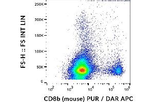Flow cytometry analysis (surface staining) of murine splenocytes using anti-CD8b (H35-17.