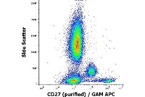Flow cytometry surface staining pattern of human peripheral whole blood stained using anti-human CD27 (LT27) purified antibody (concentration in sample 2 μg/mL, GAM APC). (CD27 antibody)