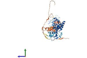 AlphaFold protein structure predicition of Human Recombinant THRA Protein, UniprotID P10827 (THRA Protein (AA 1-490) (His tag))