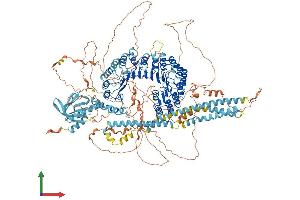 AlphaFold protein structure predicition of Human Recombinant CARMIL3 Protein, UniprotID Q8ND23 (LRRC16B Protein (AA 1-1372) (His tag))