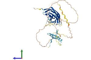 Protein Structure (PS) image for Family with Sequence Similarity 102, Member A (FAM102A) (AA 1-392) protein (His tag) (ABIN7558179)