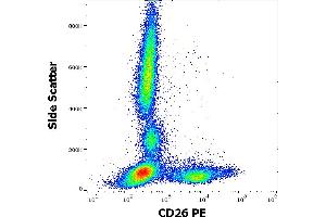 Flow cytometry surface staining pattern of human peripheral whole blood stained using anti-human CD26 (BA5b) PE antibody (20 μL reagent / 100 μL of peripheral whole blood). (DPP4 antibody  (PE))