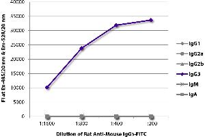 FLISA plate was coated with purified mouse IgG1, IgG2a, IgG2b, IgG3, IgM, and IgA. (Rat anti-Mouse IgG3 Antibody (FITC))