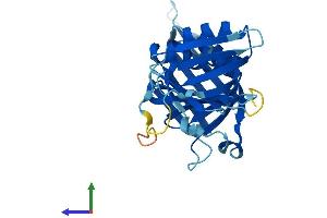 AlphaFold protein structure predicition of Human Recombinant HUS1 Protein, UniprotID O60921