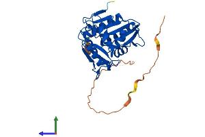 AlphaFold protein structure predicition of Mouse Recombinant Rpia Protein, UniprotID P47968 (Ribose 5-Phosphate Isomerase A (RPIA) (AA 1-303) protein (His tag))
