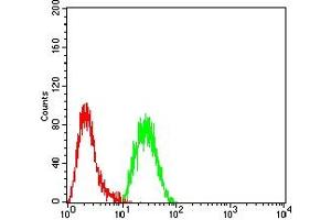 Flow cytometric analysis of Hela cells using EZH1 mouse mAb (green) and negative control (red). (EZH1 antibody  (AA 135-294))