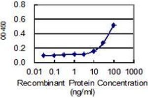 Detection limit for recombinant GST tagged SLC27A5 is 3 ng/ml as a capture antibody. (SLC27A5 antibody  (AA 90-175))