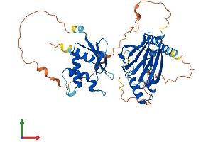 Protein Structure (PS) image for Interferon Regulatory Factor 8 (IRF8) (AA 1-424) protein (His tag) (ABIN7562980)