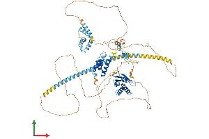 Protein Structure (PS) image for Mediator Complex Subunit 15 (MED15) (AA 1-788) protein (His tag) (ABIN7554508)