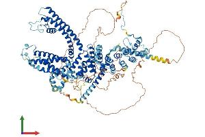Protein Structure (PS) image for Transient Receptor Potential Cation Channel, Subfamily C, Member 4 (TRPC4) (AA 1-977) protein (His tag) (ABIN7555856)