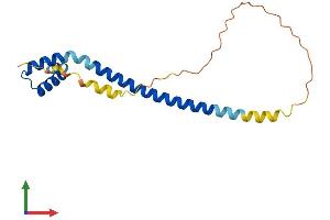AlphaFold protein structure predicition of Human Recombinant DYDC2 Protein, UniprotID Q96IM9