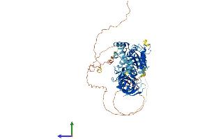 Protein Structure (PS) image for HBS1-Like (HBS1L) (AA 1-682) protein (His tag) (ABIN7557891)
