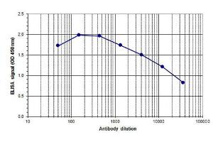 ELISA of anti-Ash2 antibody ELISA results of Rabbit anti-Ash2 antibody. (ASCL2 antibody  (C-Term))