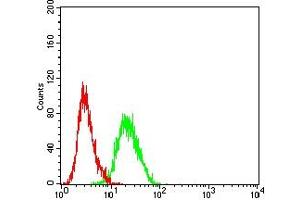 Flow cytometric analysis of HL-60 cells using CD230 mouse mAb (green) and negative control (red). (PRNP antibody  (AA 23-230))