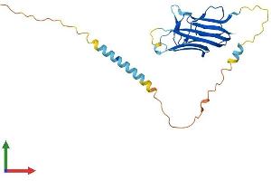 AlphaFold protein structure predicition of Mouse Recombinant Tnfsf12 Protein, UniprotID O54907