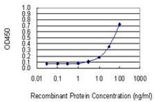 Detection limit for recombinant GST tagged UCK2 is 1 ng/ml as a capture antibody. (UCK2 antibody  (AA 1-261))