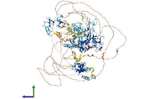 AlphaFold protein structure predicition of Human Recombinant NSD3 Protein, UniprotID Q9BZ95 (WHSC1L1 Protein (AA 1-1437) (His tag))