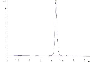 The purity of Mouse CD47 is greater than 95 % as determined by SEC-HPLC. (CD47 Protein (CD47) (AA 19-140) (His tag))