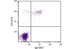 Human peripheral blood lymphocytes were stained with Mouse Anti-Human IgD-BIOT. (Mouse anti-Human IgD Antibody (Biotin))