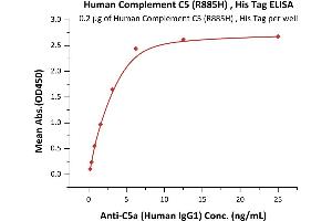 Immobilized Human Complement C5 (R885H), His Tag (ABIN6810053,ABIN6938883) at 2 μg/mL (100 μL/well) can bind Anti-C5a (Human IgG1) with a linear range of 0. (C5 Protein (AA 19-1676) (His tag))
