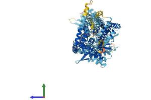 AlphaFold protein structure predicition of Mouse Recombinant Ptchd4 Protein, UniprotID B9EKX1 (PTCHD4 Protein (AA 1-904) (His tag))