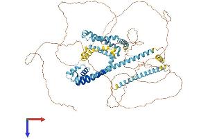 CATSPER1 Protein (AA 1-780) (His tag)