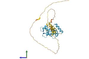 AlphaFold protein structure predicition of Human Recombinant CABP4 Protein, UniprotID P57796