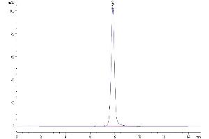 The purity of Human EPHA3 is greater than 95 % as determined by SEC-HPLC. (EPH Receptor A3 Protein (EPHA3) (AA 21-541) (His tag))
