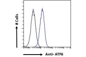 Flow Cytometry (FACS) image for anti-Activating Transcription Factor 6 (ATF6) (AA 437-449) antibody (ABIN1590087)