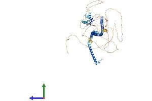 AlphaFold protein structure predicition of Human Recombinant RAB11FIP3 Protein, UniprotID O75154 (RAB11FIP3 Protein (AA 1-756) (His tag))