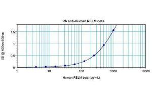 Image no. 1 for anti-Resistin Like beta (RETNLB) antibody (ABIN465490)