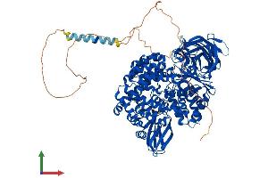 AlphaFold protein structure predicition of Human Recombinant LNPEP Protein, UniprotID Q9UIQ6 (LNPEP Protein (AA 1-1025) (His tag))