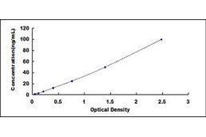 Creatine Kinase, Muscle (CKM) ELISA Kit