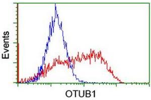 Image no. 2 for anti-OTU Domain, Ubiquitin Aldehyde Binding 1 (OTUB1) antibody (ABIN1499929) (OTUB1 antibody)