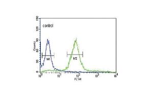 Flow Cytometry (FACS) image for anti-Hypoxanthine phosphoribosyltransferase 1 (HPRT1) (AA 150-178), (C-Term) antibody (ABIN390692)