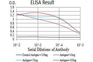 Black line: Control Antigen (100 ng);Purple line: Antigen (10ng); Blue line: Antigen (50 ng); Red line:Antigen (100 ng) (POMC antibody  (AA 1-150))